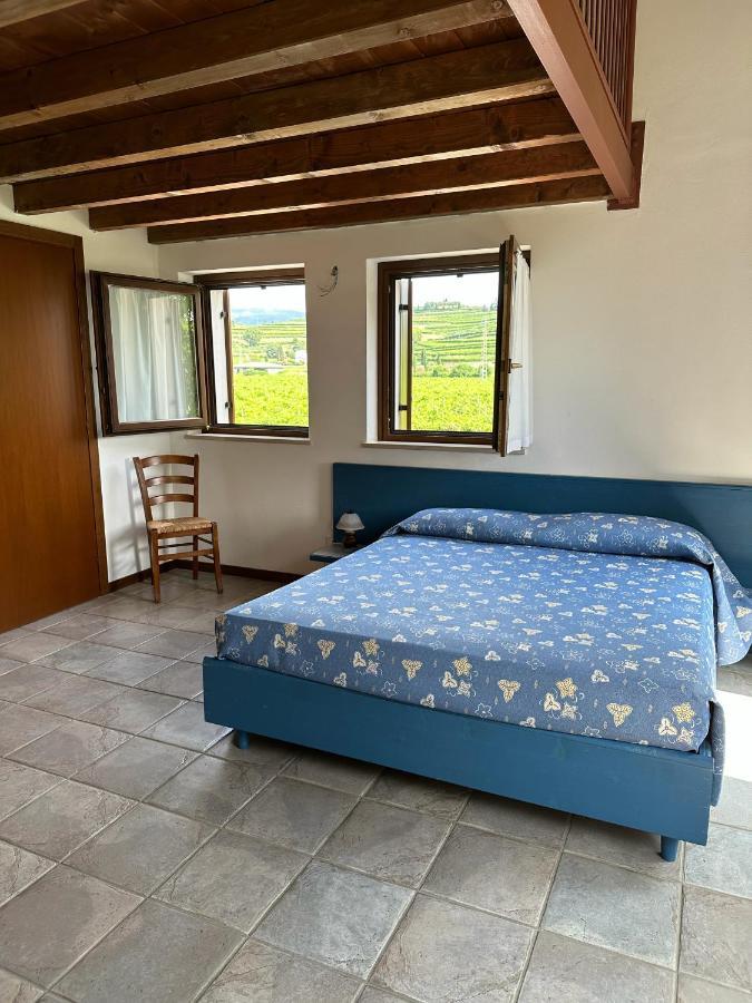 Agriturismo Fioravante Сан Пиетро ин Кариано Екстериор снимка