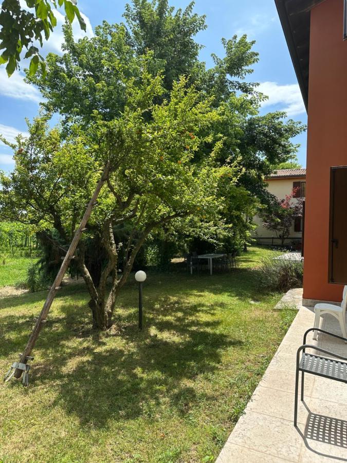 Agriturismo Fioravante Сан Пиетро ин Кариано Екстериор снимка